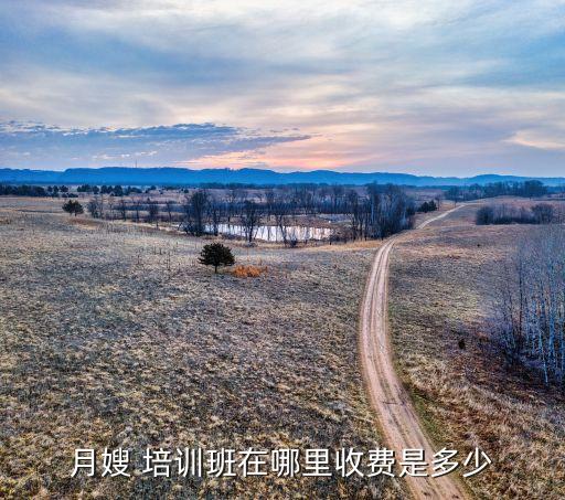 傻大姐家政培训深圳总部