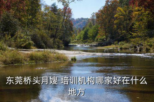 东莞桥头月嫂 培训机构哪家好在什么地方