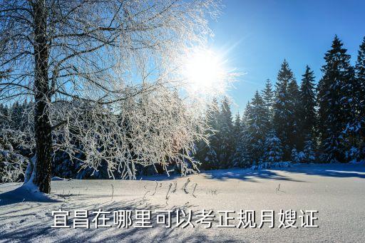  宜昌在哪里可以考正规月嫂证