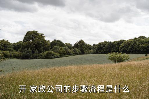 开 家政公司的步骤流程是什么