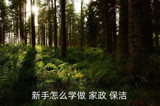 新手怎么学做 家政 保洁