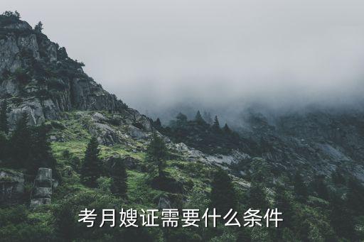 考月嫂证需要什么条件