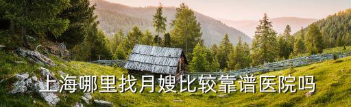  上海哪里找月嫂比较靠谱医院吗