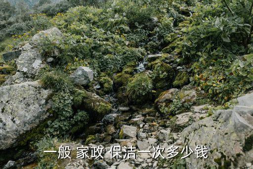 一般 家政 保洁一次多少钱
