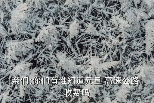 亲们:你们有谁知道元旦 高速公路 收费吗