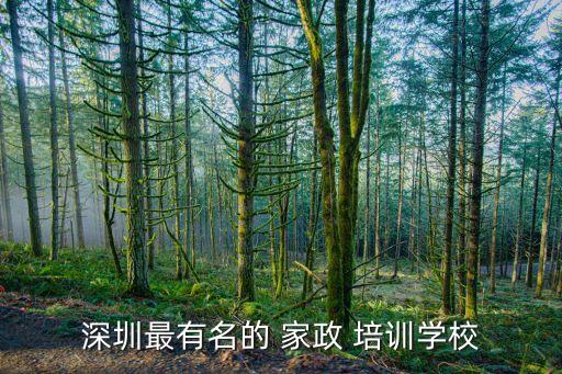 家政大数据培训机构,正规的家政培训机构在哪里