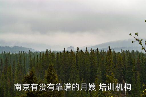 南京有没有靠谱的月嫂 培训机构