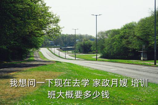 我想问一下现在去学 家政月嫂 培训班大概要多少钱