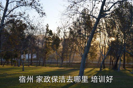 青白江有家政培训公司吗