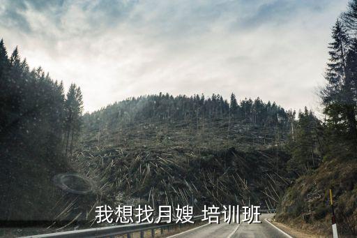 我想找月嫂 培训班