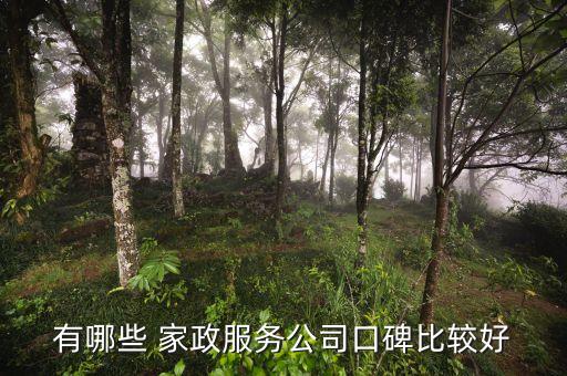 有哪些 家政服务公司口碑比较好