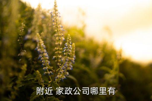 河北比较好的家政保洁培训,乌鲁木齐比较好的家政保洁公司