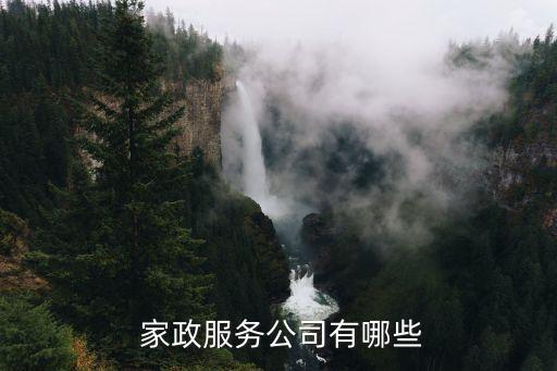  家政服务公司有哪些