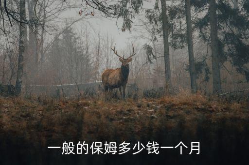 小县城家政收费高吗