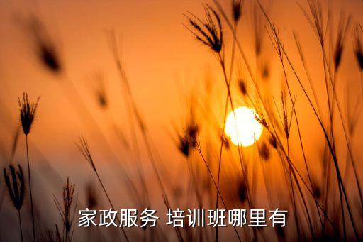 盐城哪有家政培训学校,东莞柏林家政培训学校怎么样
