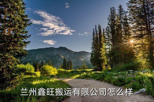 兰州鑫旺搬运有限公司怎么样