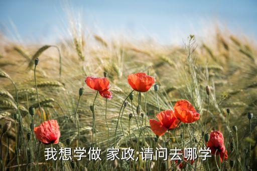 我想学做 家政,请问去哪学