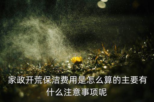  家政开荒保洁费用是怎么算的主要有什么注意事项呢