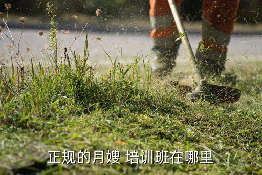 新金领家政服务培训,长沙金领家政服务有限公司