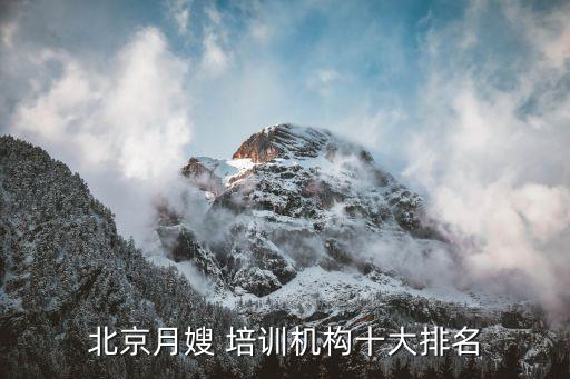 北京月嫂 培训机构十大排名