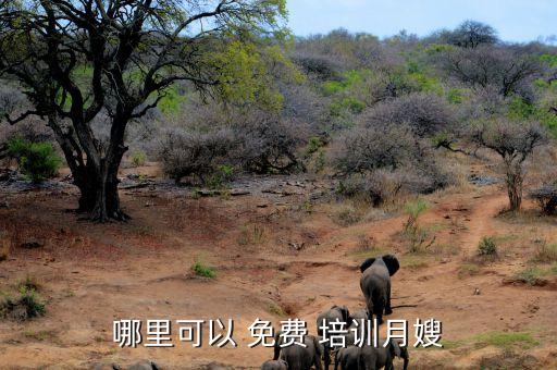 北京家政都在免费培训,国家扶持免费培训的家政学校