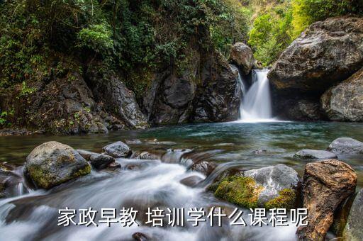  家政早教 培训学什么课程呢