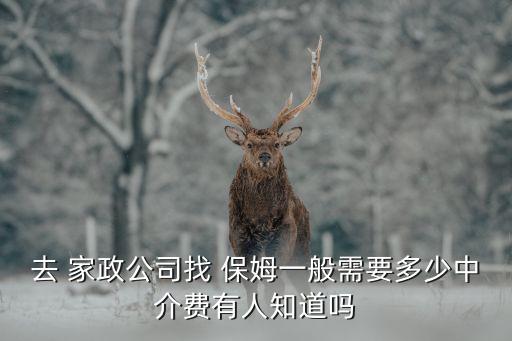 天河保姆家政服务收费标准,家政服务中介费 收费标准
