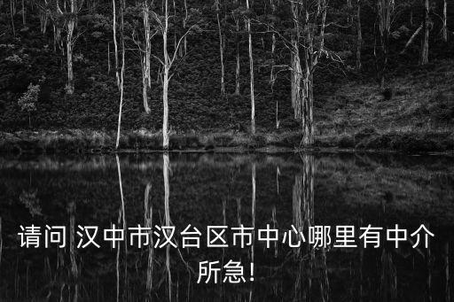 请问 汉中市汉台区市中心哪里有中介所急!