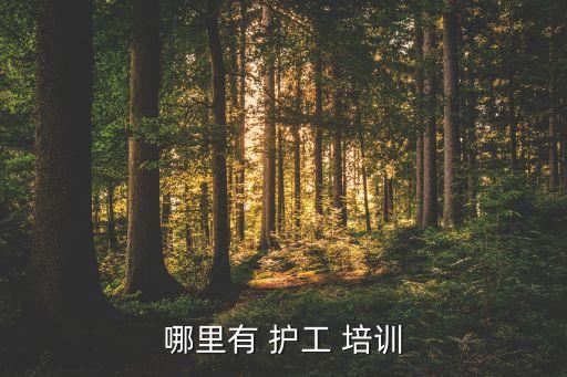 哪里有 护工 培训
