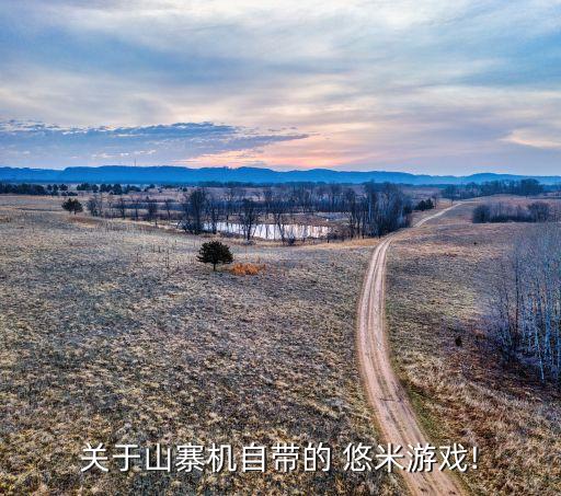 关于山寨机自带的 悠米游戏!