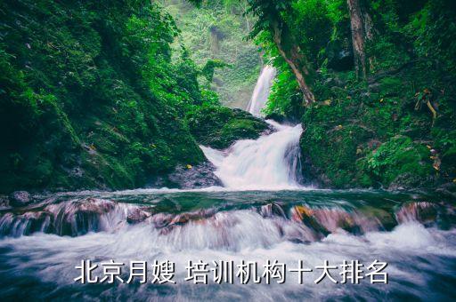  北京月嫂 培训机构十大排名