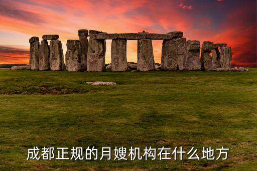 成都正规的月嫂机构在什么地方