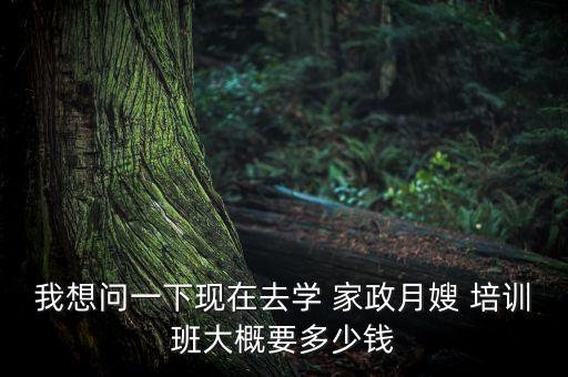 绍兴正规家政培训学校,哈尔滨正规的家政培训学校