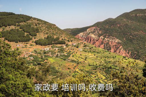  家政要 培训吗,收费吗