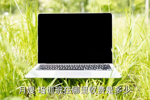 月嫂 培训班在哪里收费是多少
