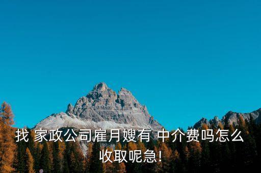 正禾家政中介收费标准,家政中介服务费收费标准
