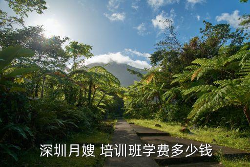  深圳月嫂 培训班学费多少钱