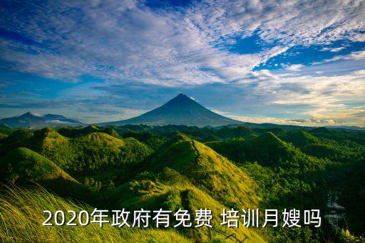 2020年政府有免费 培训月嫂吗