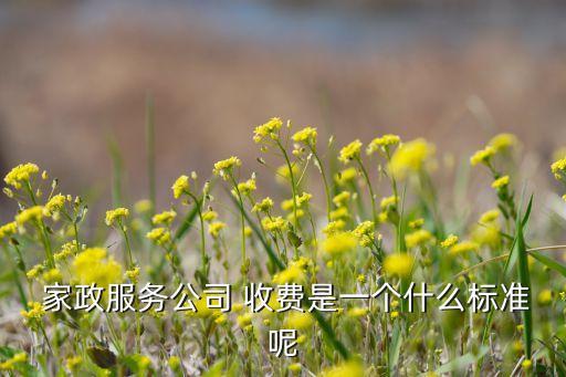 萝岗区家政如何收费的,一般家政是如何收费