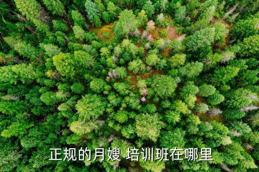  正规的月嫂 培训班在哪里