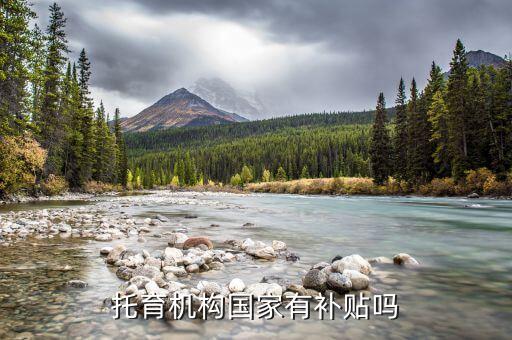 托育机构国家有补贴吗