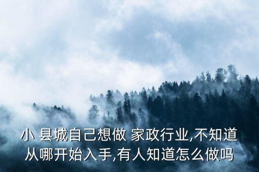小 县城自己想做 家政行业,不知道从哪开始入手,有人知道怎么做吗