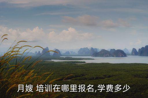 月嫂 培训在哪里报名,学费多少