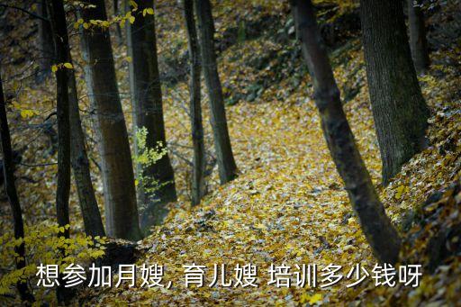想参加月嫂, 育儿嫂 培训多少钱呀