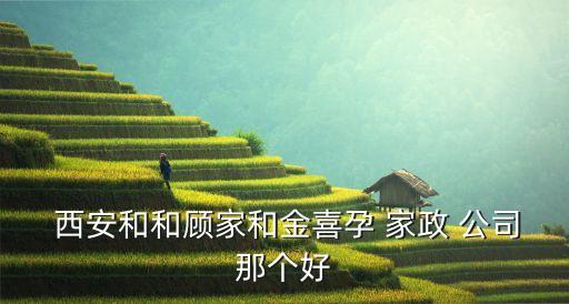 西安雁塔区家政公司培训,雁塔区注册家政公司电话