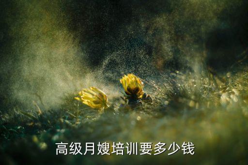  高级月嫂培训要多少钱