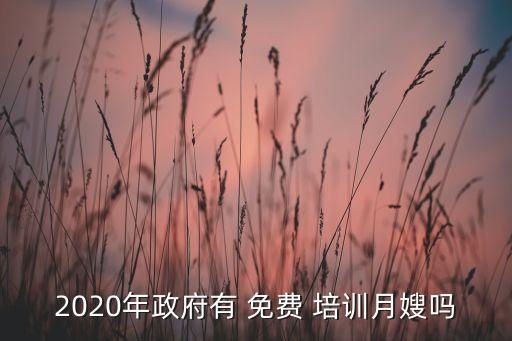 2020年政府有 免费 培训月嫂吗