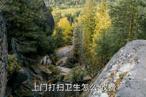  上门打扫卫生怎么 收费