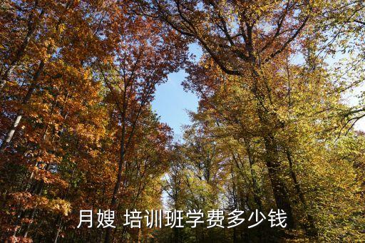 月嫂 培训班学费多少钱