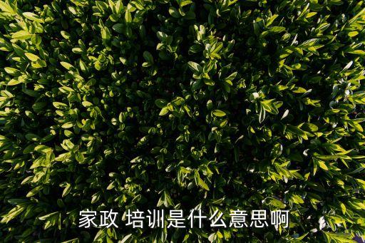  家政 培训是什么意思啊
